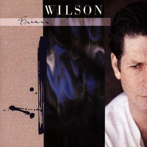 BRIAN WILSON - SAME