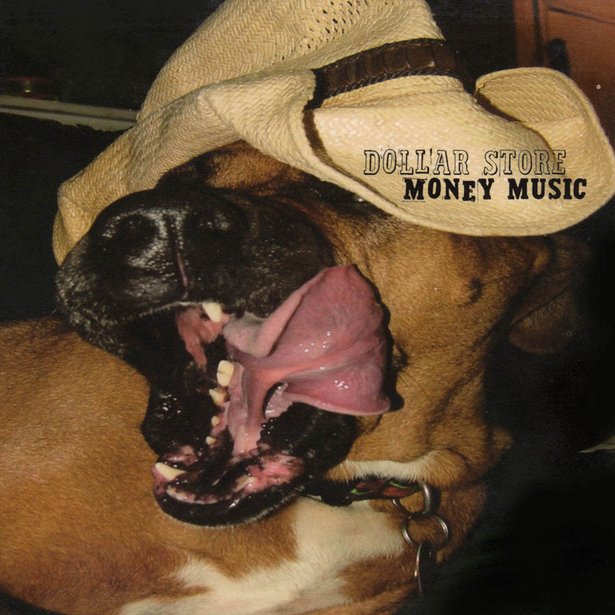 DOLLAR STORE  - MONEY MUSIC