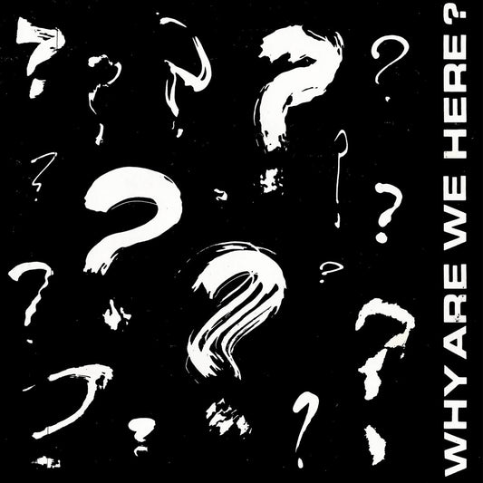 VARIOUS ARTISTS - WHY ARE WE HERE? - 7" (INDIE EXCLUSIVE)