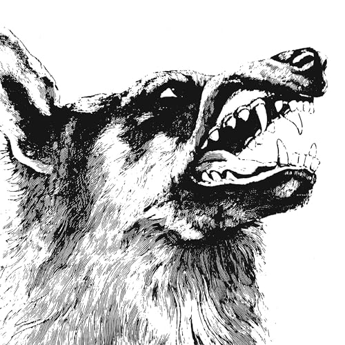 CRIPPLED BLACK PHOENIX - I, VIGILANTE (CD)