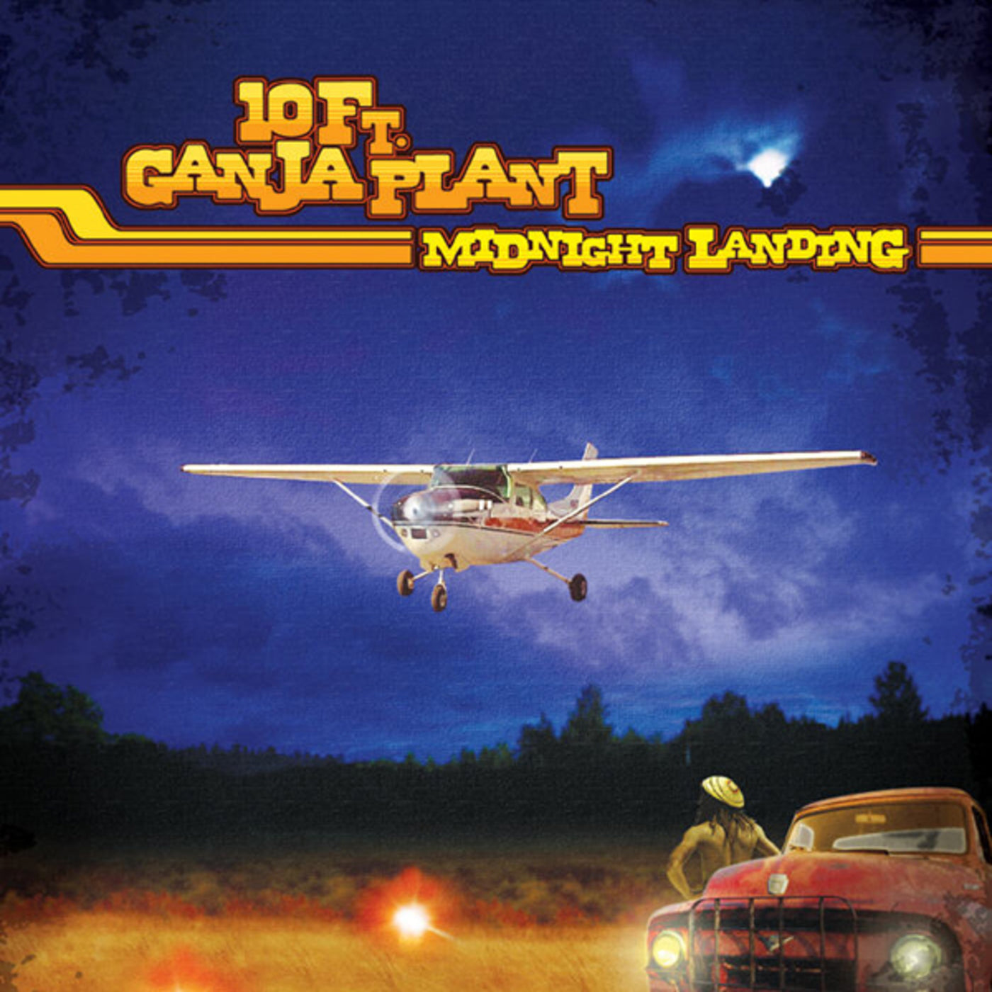 10 FT. GANJA PLANT  - MIDNIGHT LANDING