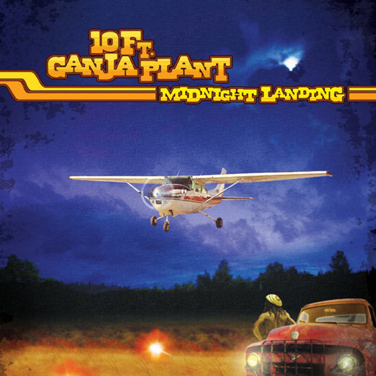 10 FT. GANJA PLANT  - MIDNIGHT LANDING