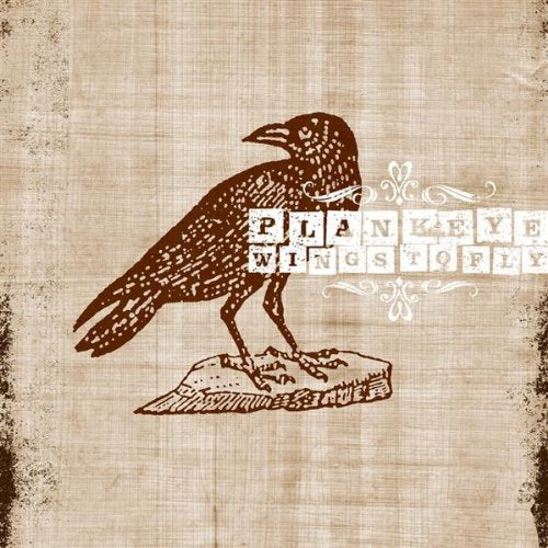 PLANKEYE - WINGS TO FLY