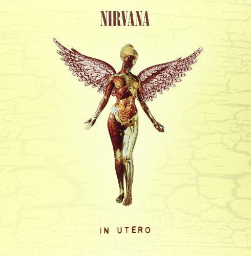 NIRVANA - IN UTERO (3CD/DVD - 20TH ANNIVERSARY SUPER DELUXE EDITION)