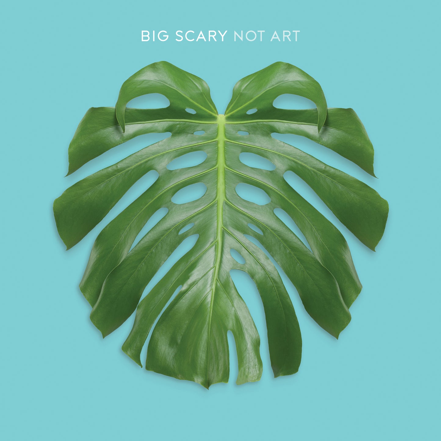 BIG SCARY  - NOT ART