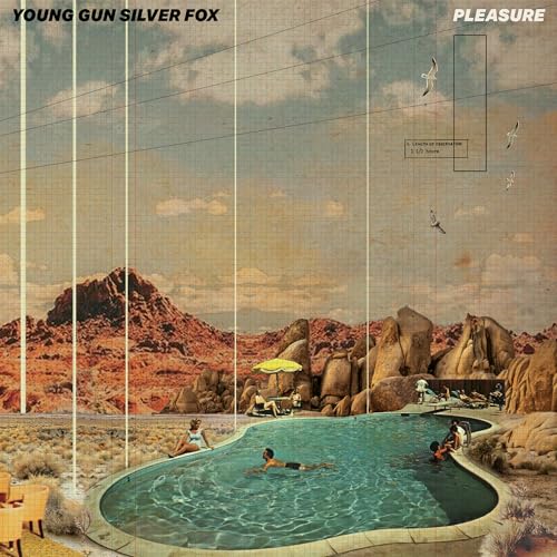 YOUNG GUN SILVER FOX - PLEASURE
