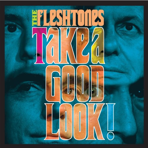 THE FLESHTONES - TAKE A GOOD LOOK