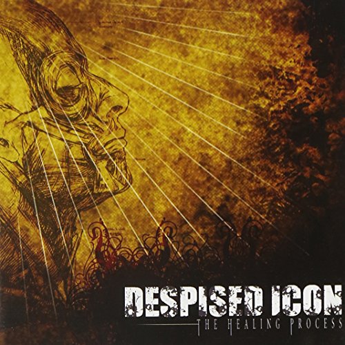 DESPISED ICON - HEALING PROCESS