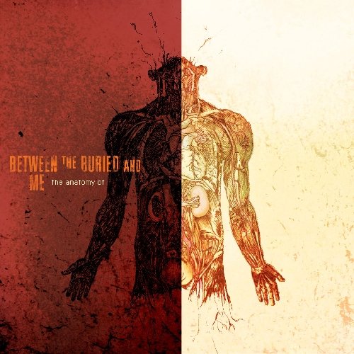 BETWEEN THE BURIED AND ME - ANATOMY OF