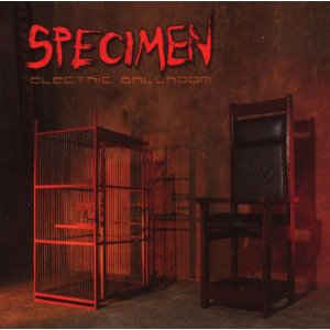SPECIMEN  - ELECTRIC BALLROOM