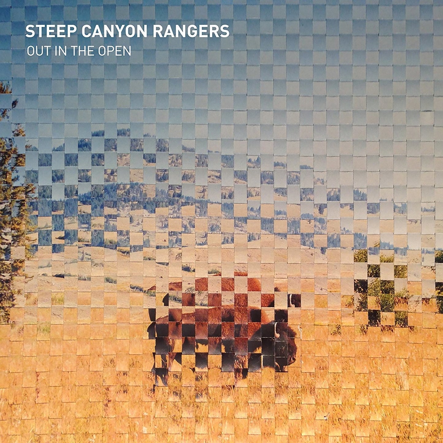 STEEP CANYON RANGERS  - OUT IN THE OPEN