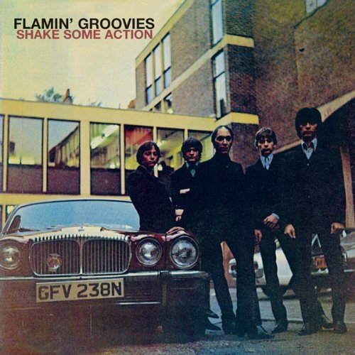 FLAMIN GROOVIES - SHAKE SOME ACTION