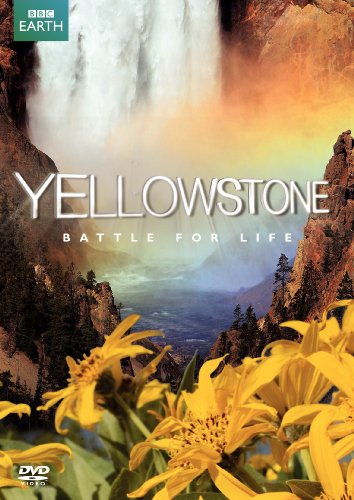 YELLOWSTONE: BATTLE FOR LIFE