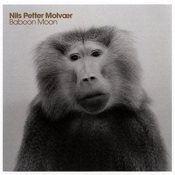 MOLVAER, NILS PETTER - BABOON MOON