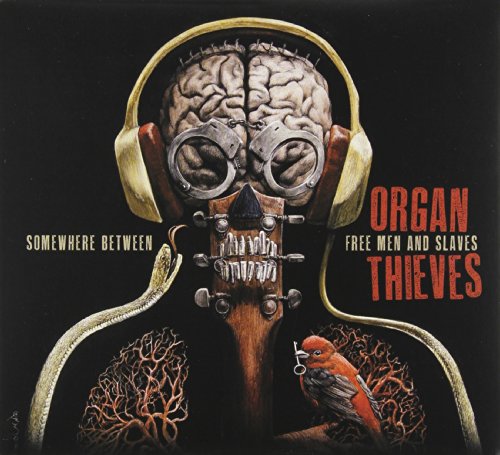 ORGAN THIEVES - SOMEWHERE BETWEEN FREE MEN & SLAVES