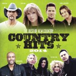 VARIOUS ARTISTS - COUNTRY HITS 2014