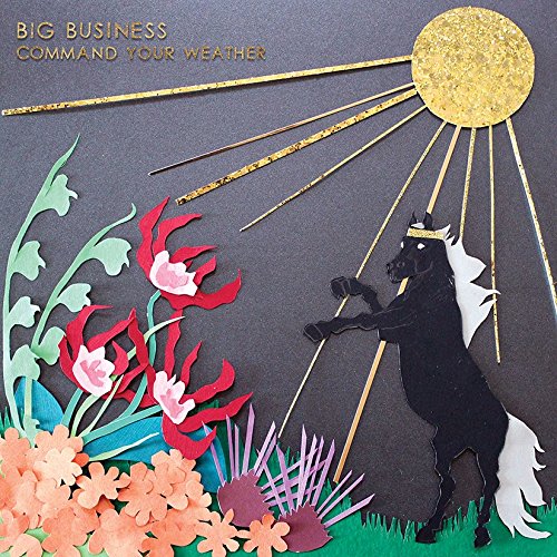 BIG BUSINESS - COMMAND YOUR WEATHER