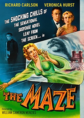 THE MAZE 3D