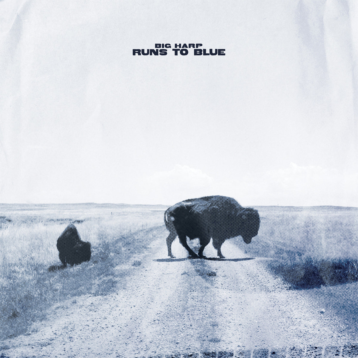 BIG HARP - RUNS TO BLUE
