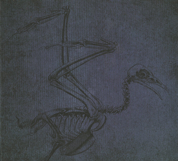 BEAUTY PILL  - PLEASE ADVISE