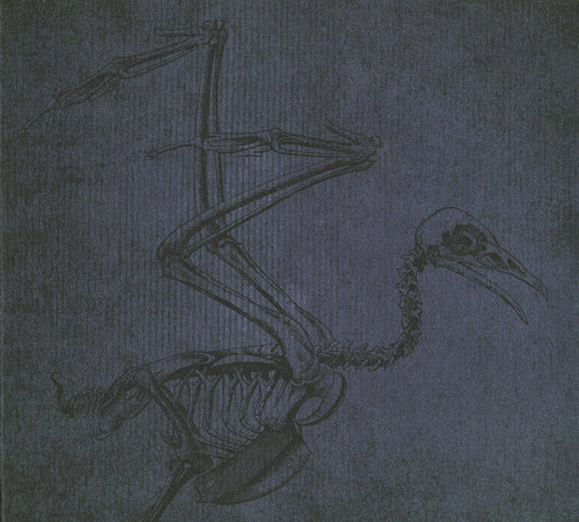 BEAUTY PILL  - PLEASE ADVISE