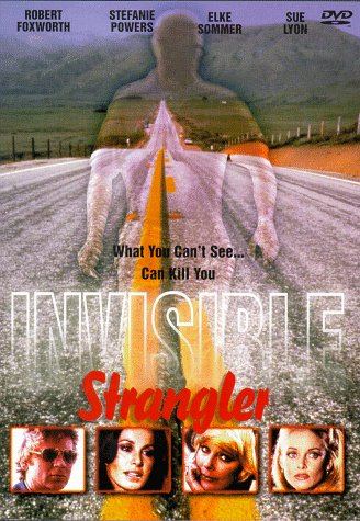 INVISIBLE STRANGER [IMPORT]