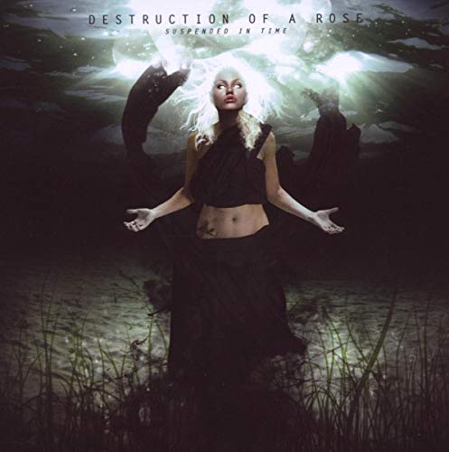 DESTRUCTION OF A ROSE - SUSPENDED IN TIME