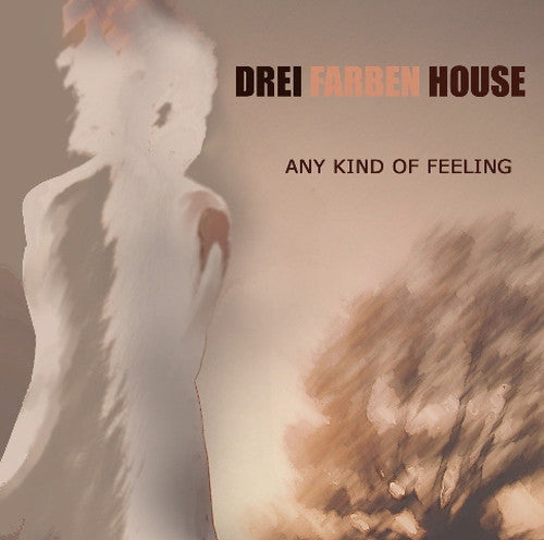 DREI FARBEN HOUSE  - ANY KIND OF FEELING