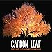 CARBON LEAF - NOTHING RHYMES WITH WOMAN (CD)