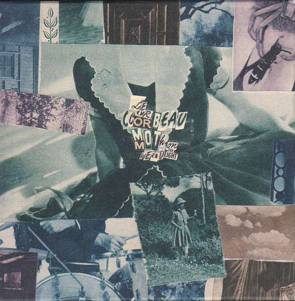 LE CORBEAU  - MOTH ON THE HEADLIGHT
