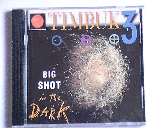 TIMBUK 3 - BIG SHOT IN THE DARK