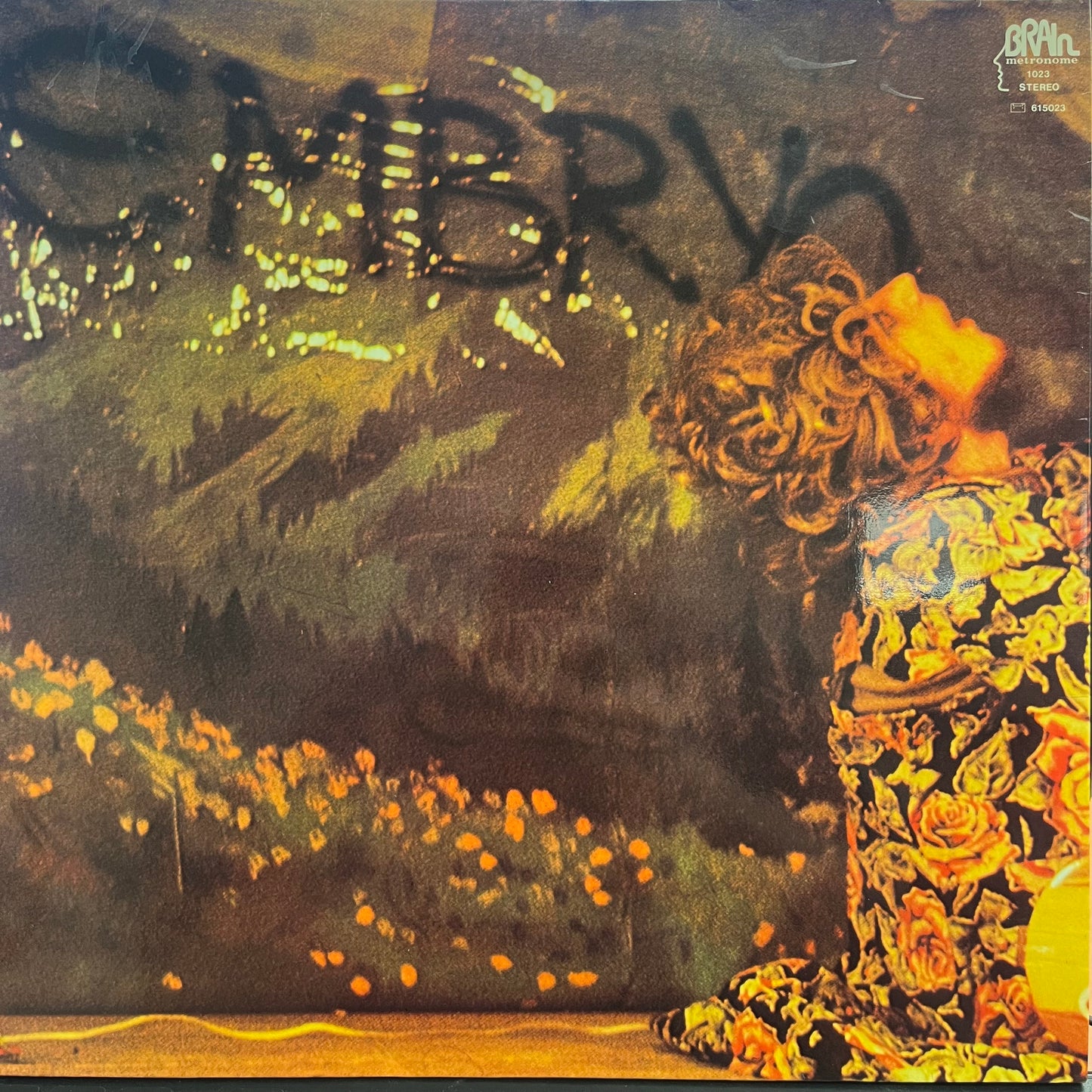 Embryo Featuring Jimmy Jackson - Steig Aus (Used LP)