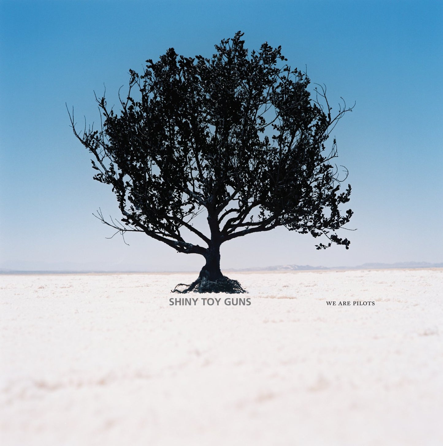 SHINY TOY GUNS  - WE ARE PILOTS