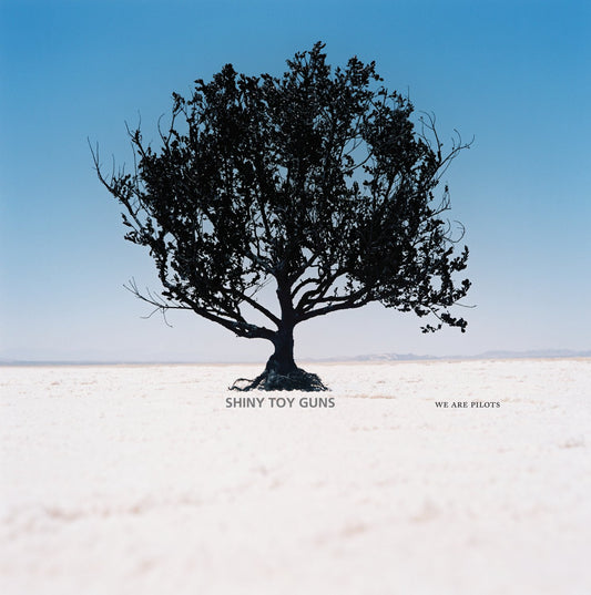 SHINY TOY GUNS  - WE ARE PILOTS