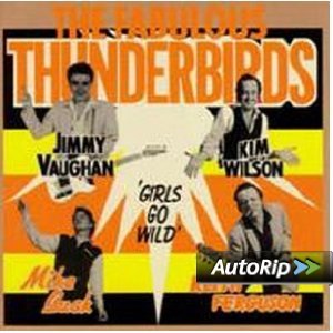 FABULOUS THUNDERBIRDS - FABULOUS THUNDERBIRDS