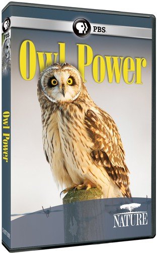 NATURE - OWL POWER [IMPORT]