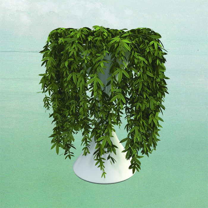 ERRORS - LEASE OF LIFE