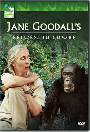 JANE GOODALL: RETURN TO GOMBE [IMPORT]