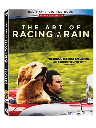 ART OF RACING IN THE RAIN - BLU