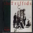 TRIFFIDS - TREELESS PAIN