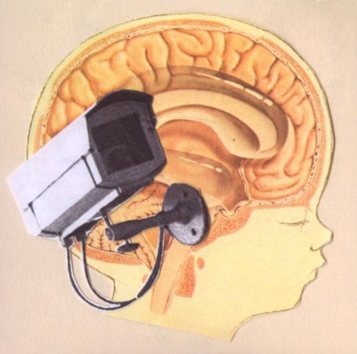 HIDDEN CAMERAS - ORIGIN ORPHAN (DIGI)