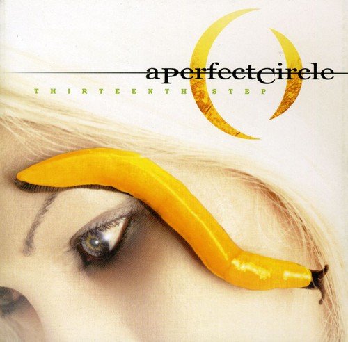 PERFECT CIRCLE - THIRTEENTH STEP