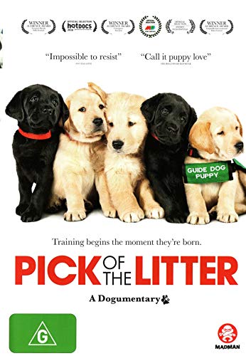 PICK OF THE LITTER: A DOGUMENTARY