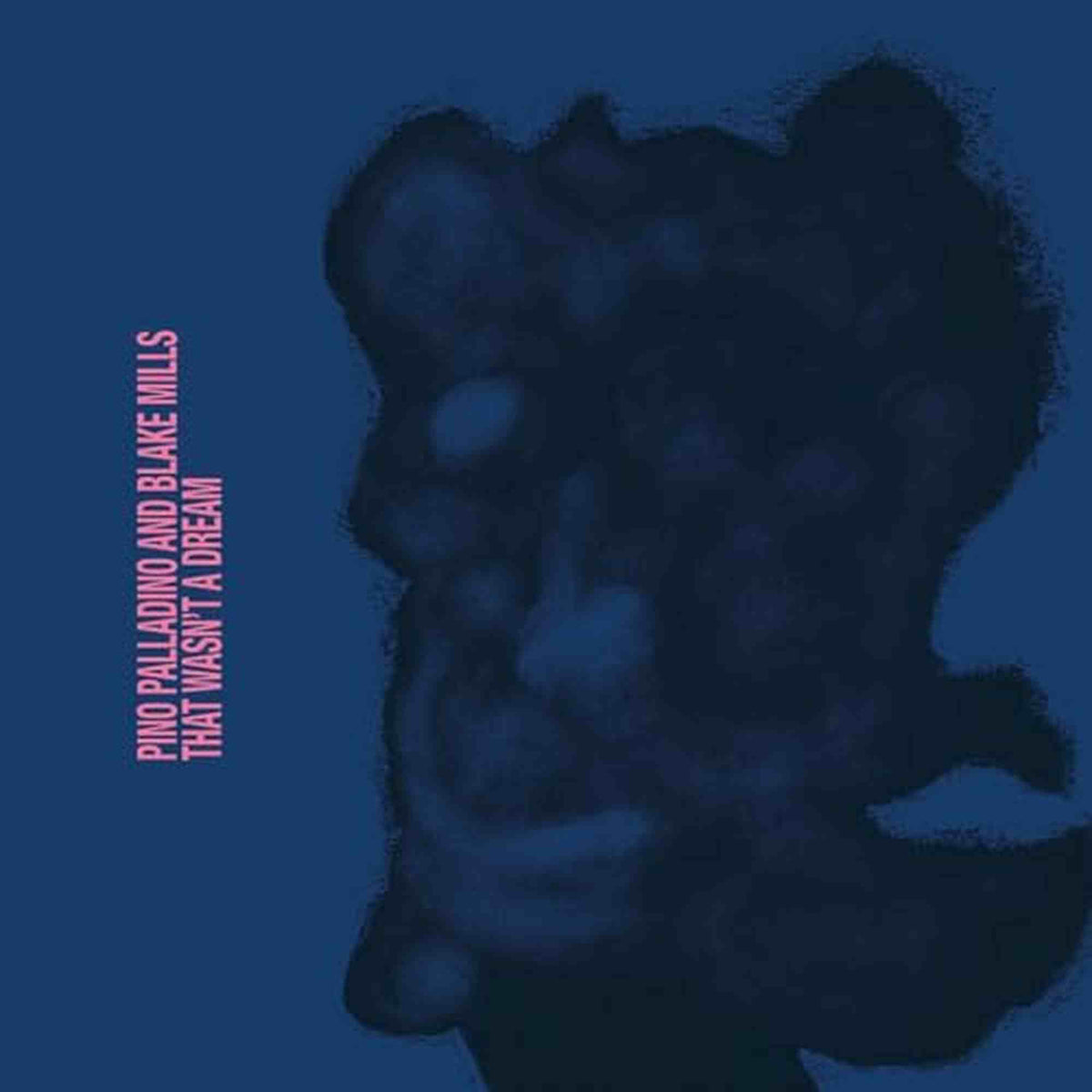PINO PALLADINO, BLAKE MILLS - THAT WASN'T A DREAM