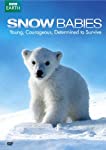 SNOW BABIES / POLAR BEAR - SPY ON THE ICE