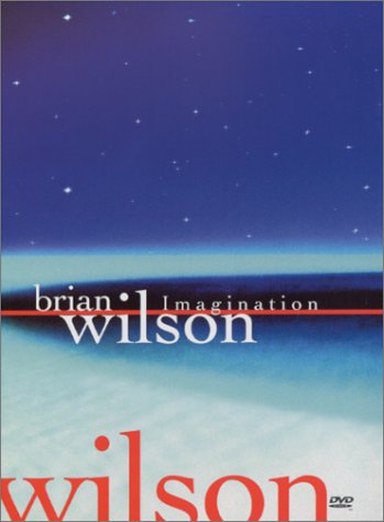 BRIAN WILSON: IMAGINATION (FULL SCREEN) [IMPORT]