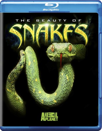 BEAUTY OF SNAKES  - BLU-ANIMAL PLANET