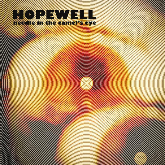 HOPEWELL - NEEDLE IN THE CAMEL'S EYE