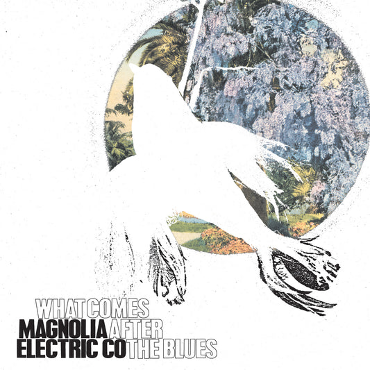 MAGNOLIA ELECTRIC CO.  - WHAT COMES AFTER THE BLUES