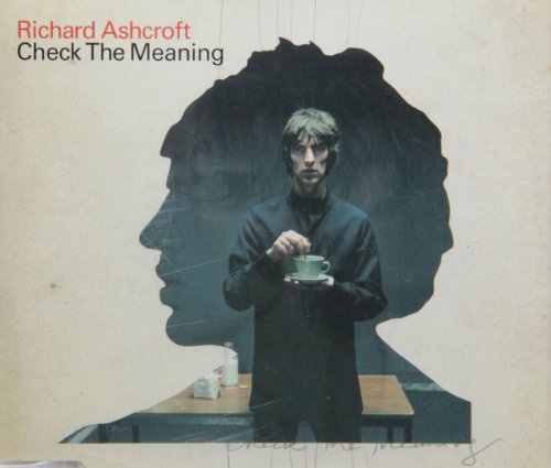 ASHCROFT, RICHARD (VERVE) - CHECK THE MEANING (CDS)